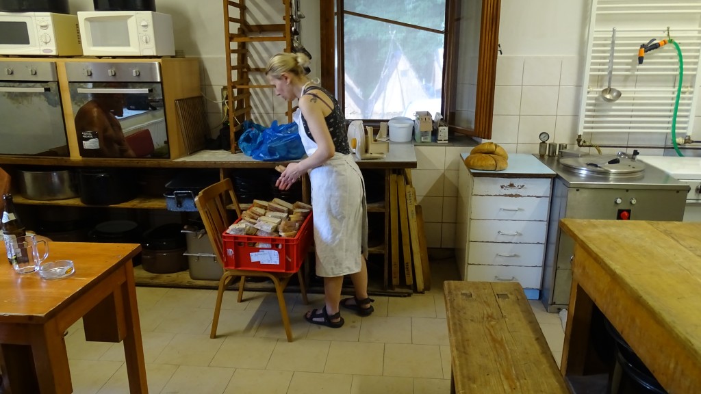 DSC08653.jpg