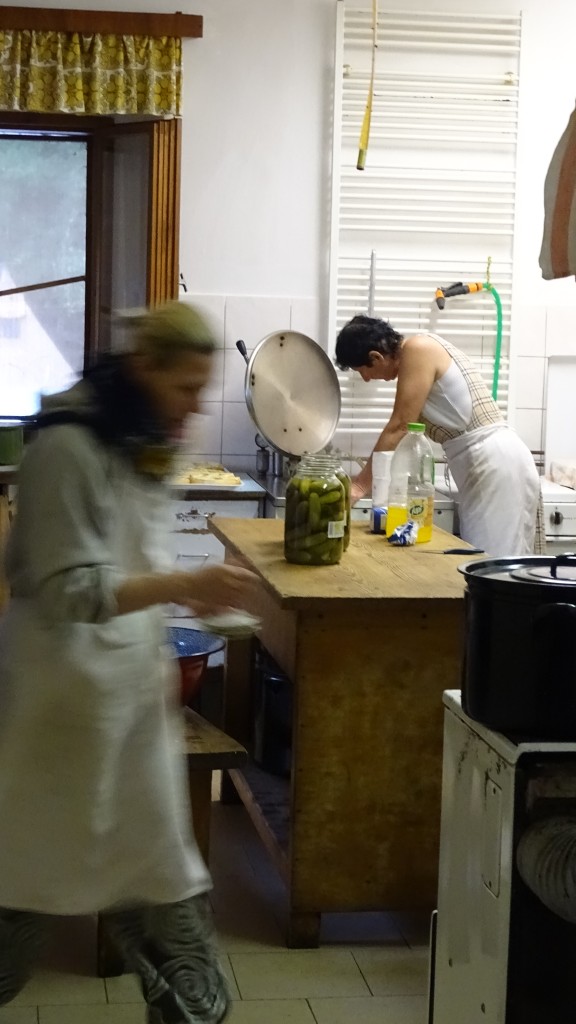 DSC08940.jpg