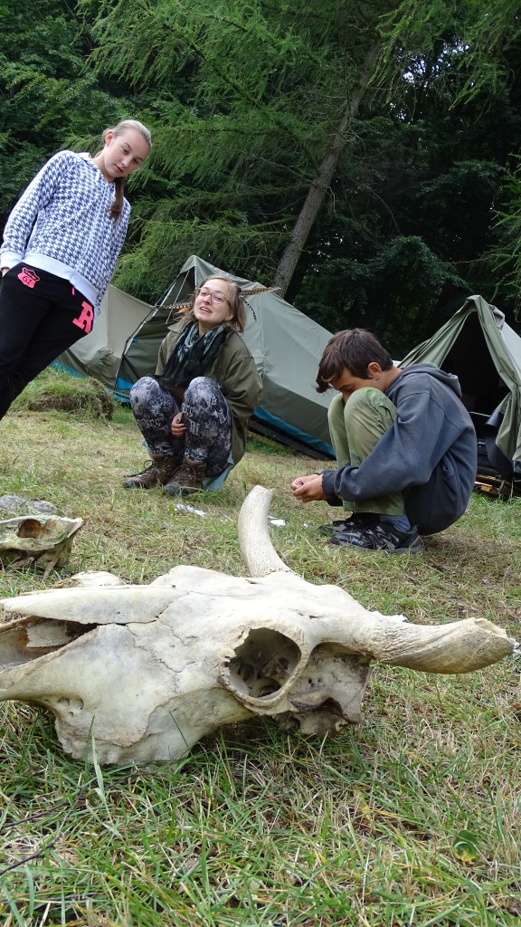 DSC09298.jpg
