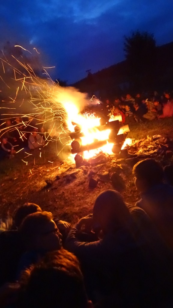 DSC09486.jpg