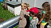 DSC08306.jpg