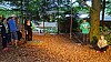 DSC08375.jpg