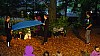DSC08389.jpg
