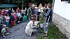 DSC08433.jpg