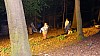 DSC08490.jpg