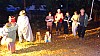 DSC08493.jpg