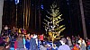DSC08516.jpg