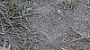 DSC08606.jpg