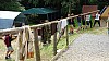 DSC08638.jpg