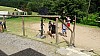 DSC08689.jpg