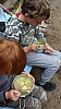 DSC09008.jpg