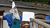 DSC09046.jpg