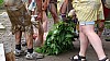 DSC09164.jpg