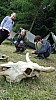 DSC09298.jpg