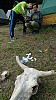 DSC09314.jpg
