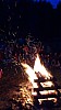 DSC09476.jpg