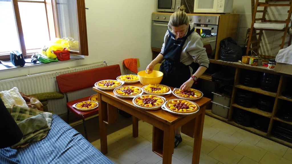 DSC01201.jpg