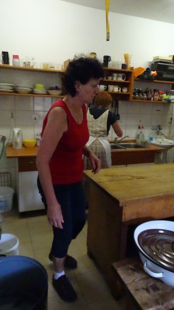 DSC01203.jpg