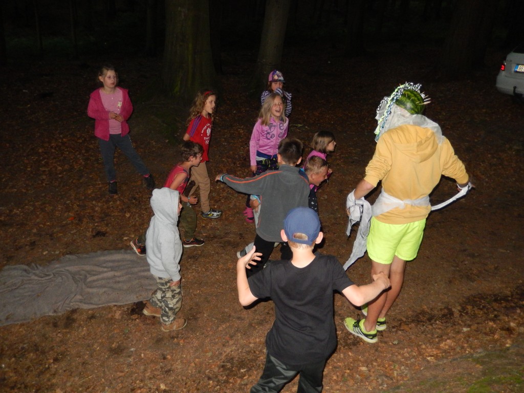 DSCN6376.jpg