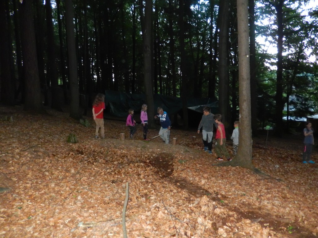 DSCN6378.jpg