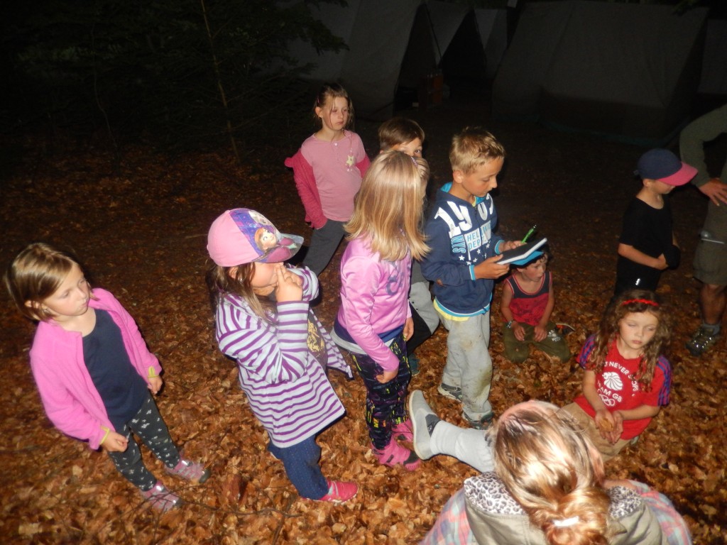DSCN6392.jpg