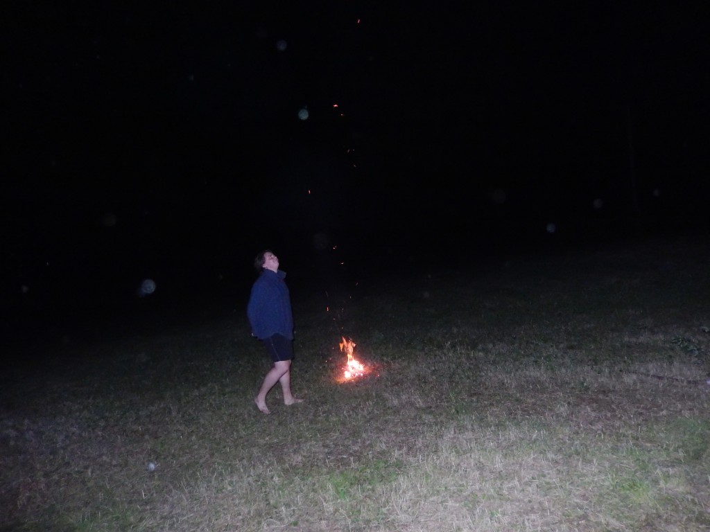 DSCN6493.jpg