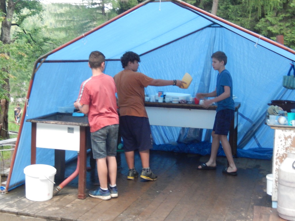 DSCN6524.jpg