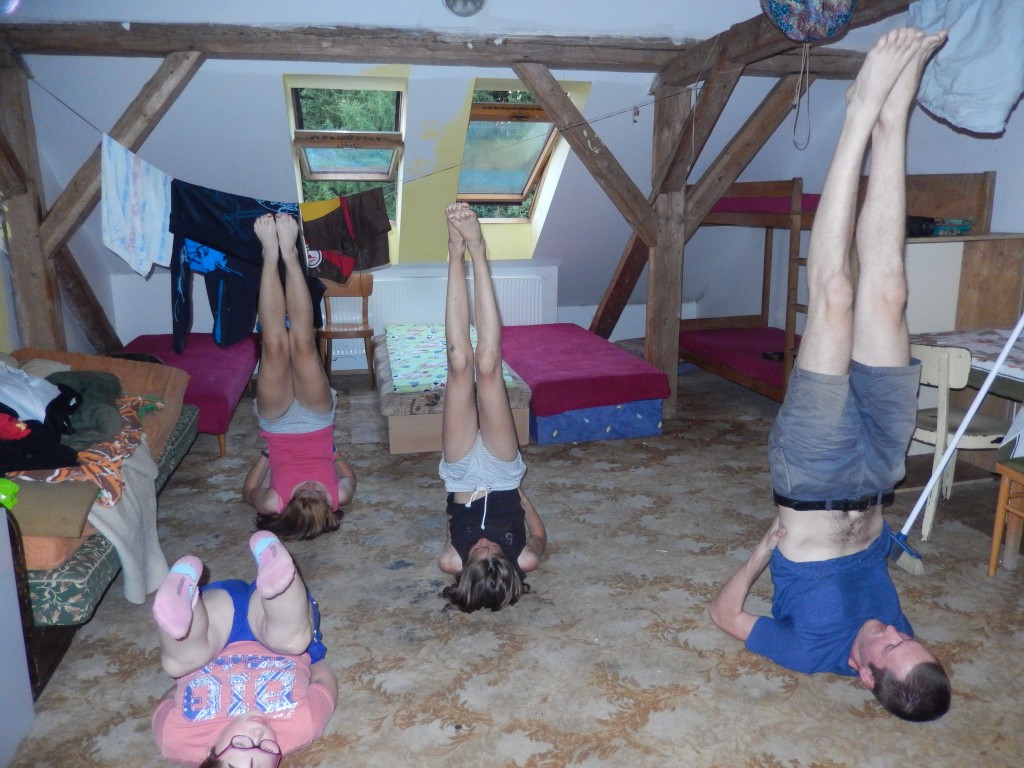 DSCN6537.jpg