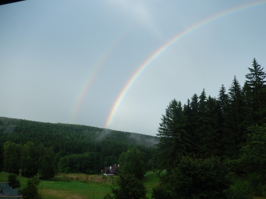 DSCN6548.jpg