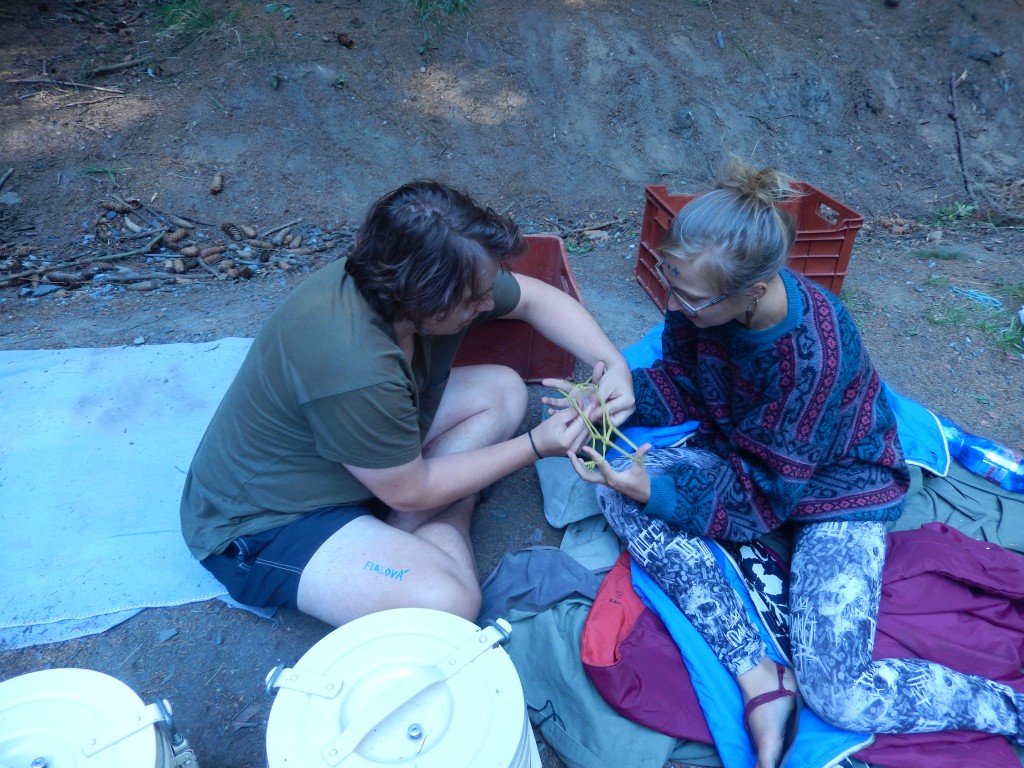 DSCN6584.jpg