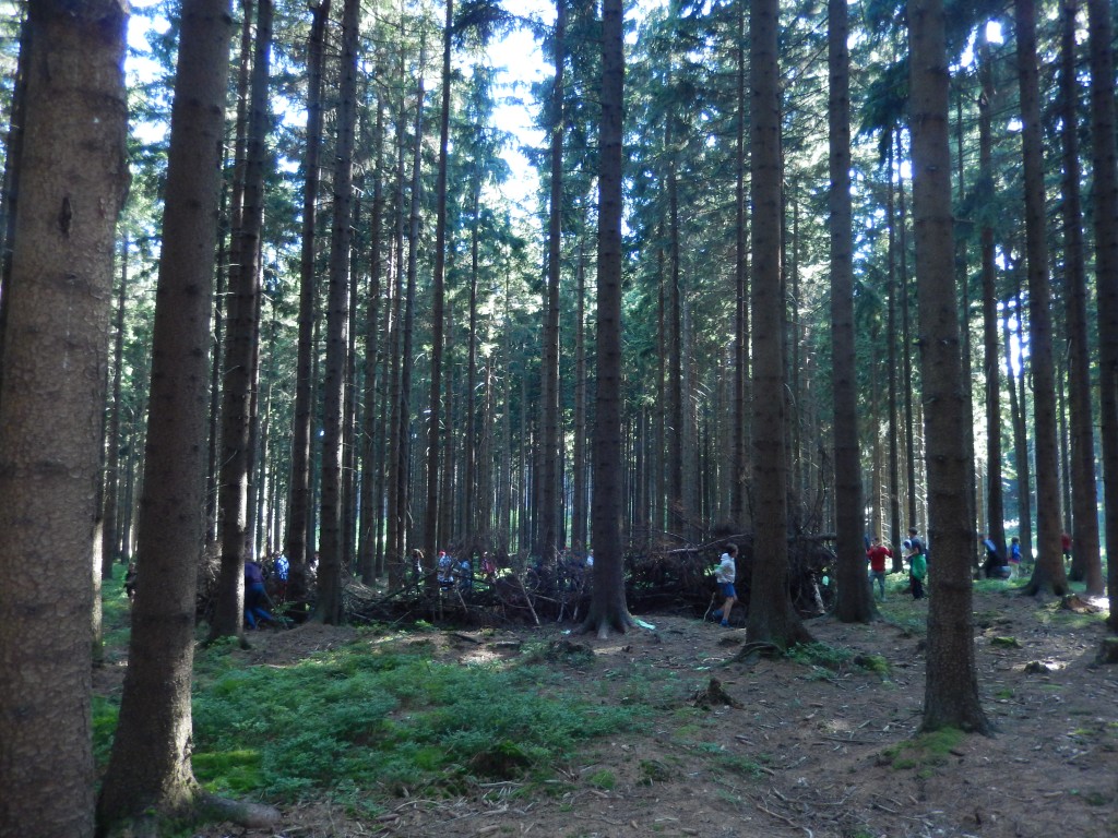 DSCN6607.jpg