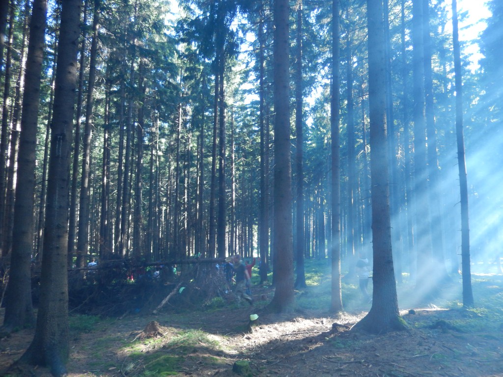 DSCN6609.jpg