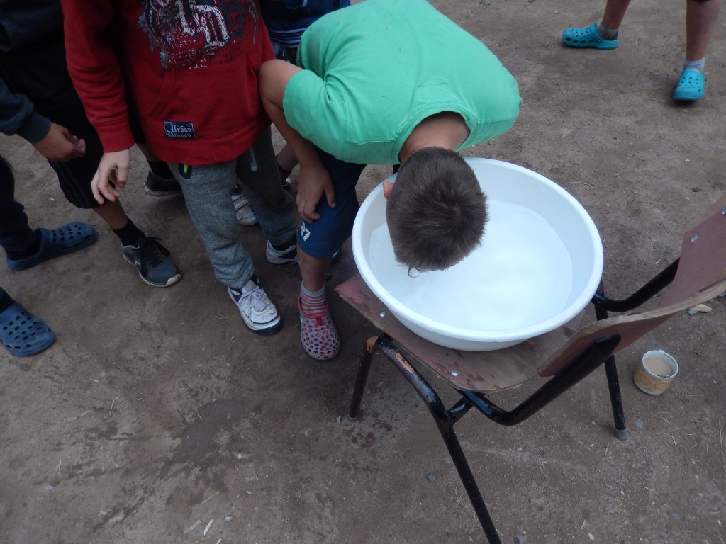 DSCN6668.jpg