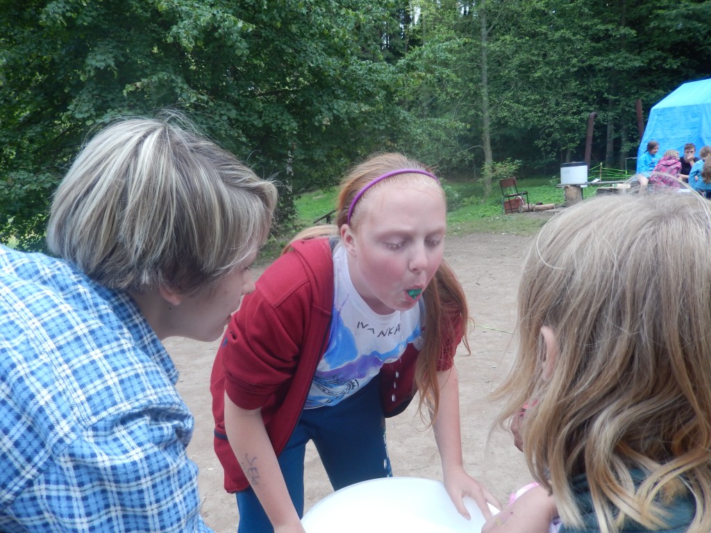 DSCN6727.jpg