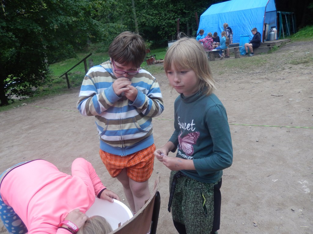 DSCN6729.jpg