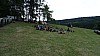 DSC00953.jpg