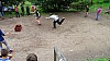 DSC00997.jpg