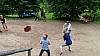 DSC01009.jpg
