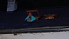 DSC01094.jpg