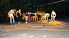 DSC01116.jpg