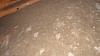 DSC01122.jpg