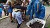 DSC01276.jpg