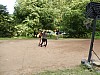 DSCN6420.jpg