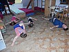 DSCN6536.jpg