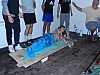 DSCN6559.jpg