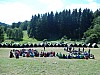 DSCN6567.jpg