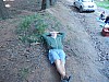 DSCN6597.jpg