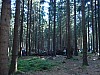 DSCN6607.jpg
