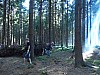 DSCN6608.jpg