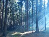 DSCN6609.jpg